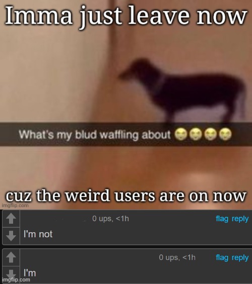 made w/ Imgflip meme maker