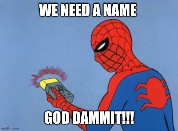 WE NEED A NAME GOD DAMMIT!!! | image tagged in spiderman detector | made w/ Imgflip meme maker