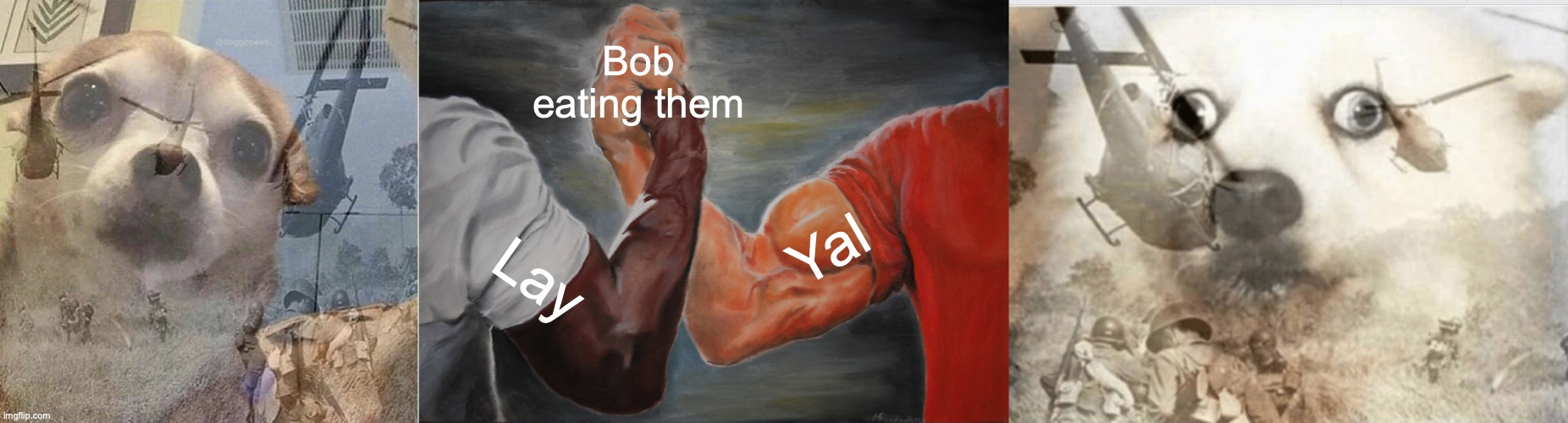 Bob eating them Lay Yal | image tagged in ptsd chihuahua,memes,epic handshake,ptsd dog | made w/ Imgflip meme maker