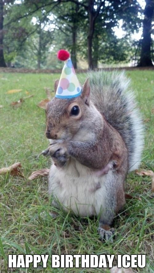 Super Birthday Squirrel Meme | HAPPY BIRTHDAY ICEU | image tagged in memes,super birthday squirrel | made w/ Imgflip meme maker
