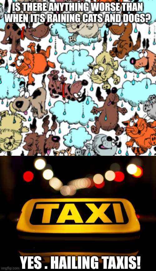 IS THERE ANYTHING WORSE THAN WHEN IT'S RAINING CATS AND DOGS? YES . HAILING TAXIS! | image tagged in its raining cats and dogs,taxi | made w/ Imgflip meme maker