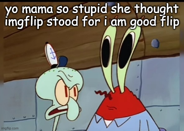 what | yo mama so stupid she thought imgflip stood for i am good flip | image tagged in what | made w/ Imgflip meme maker