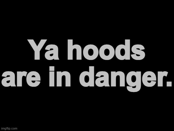 Ya hoods are in danger. | made w/ Imgflip meme maker