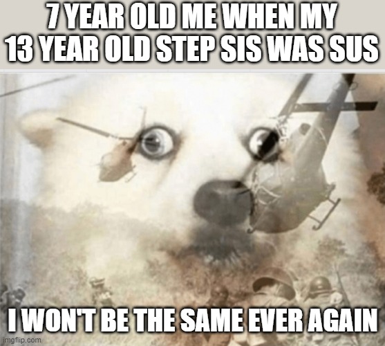 PTSD dog | 7 YEAR OLD ME WHEN MY 13 YEAR OLD STEP SIS WAS SUS I WON'T BE THE SAME EVER AGAIN | image tagged in ptsd dog | made w/ Imgflip meme maker