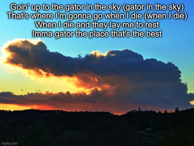 Gator in the sky | Goin' up to the gator in the sky (gator in the sky)
That's where I'm gonna go when I die (when I die)
When I die and they lay me to rest
Imm | image tagged in gator,sky | made w/ Imgflip meme maker
