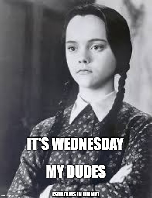 Wednesday Addams | IT'S WEDNESDAY MY DUDES (SCREAMS IN JIMMY) | image tagged in wednesday addams | made w/ Imgflip meme maker