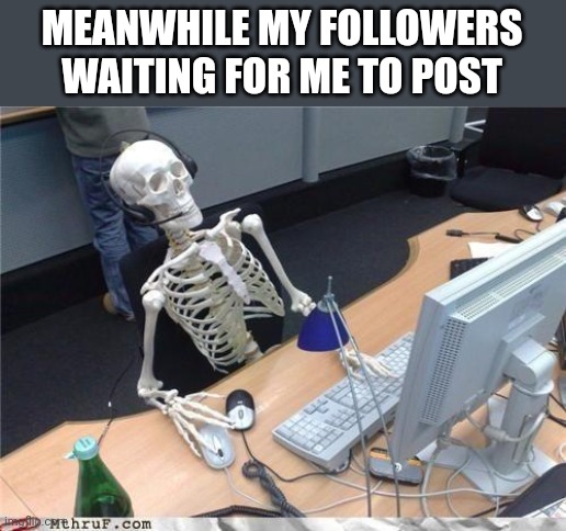 Waiting skeleton | MEANWHILE MY FOLLOWERS WAITING FOR ME TO POST | image tagged in waiting skeleton | made w/ Imgflip meme maker