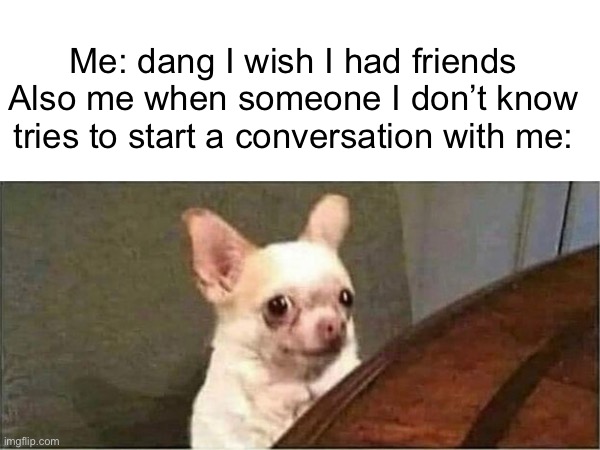 Me: dang I wish I had friends
Also me when someone I don’t know tries to start a conversation with me: | image tagged in introverts | made w/ Imgflip meme maker