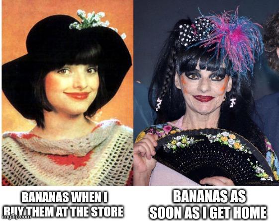 Nina Hagen then vs. now | BANANAS AS SOON AS I GET HOME; BANANAS WHEN I BUY THEM AT THE STORE | image tagged in nina hagen then vs now,groceries,fruit,bananas,grocery store,banana | made w/ Imgflip meme maker