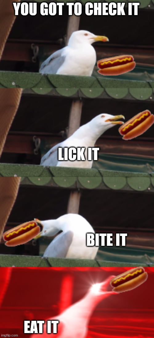 rawrr | YOU GOT TO CHECK IT; LICK IT; BITE IT; EAT IT | image tagged in hotdog,inhaling seagull,funny memes | made w/ Imgflip meme maker