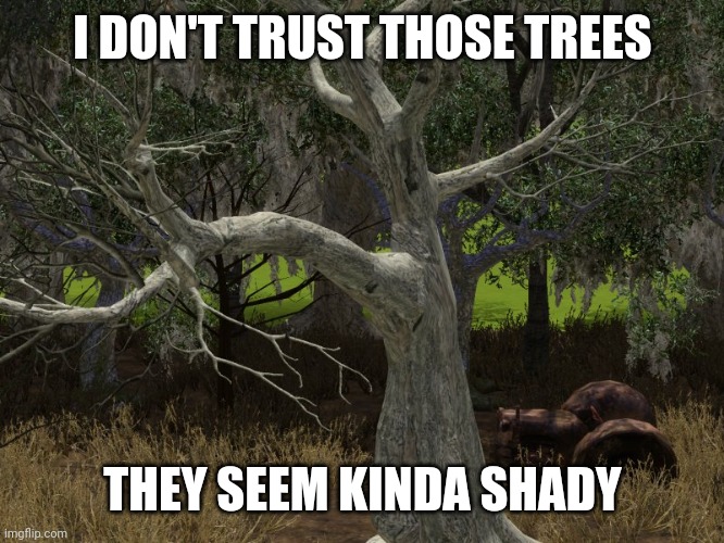 Spooky trees | I DON'T TRUST THOSE TREES; THEY SEEM KINDA SHADY | image tagged in spooky trees | made w/ Imgflip meme maker