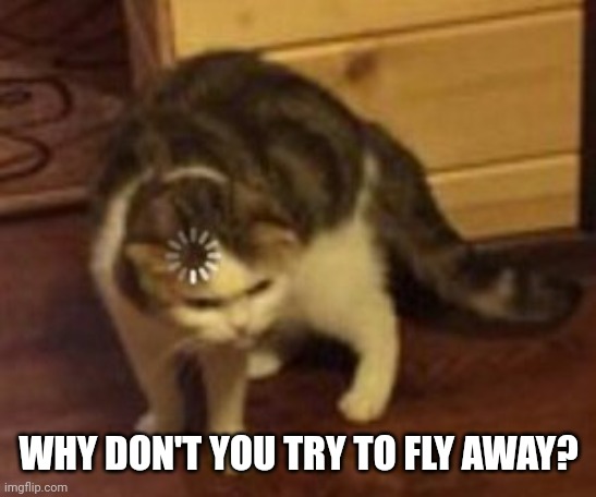 Loading cat | WHY DON'T YOU TRY TO FLY AWAY? | image tagged in loading cat | made w/ Imgflip meme maker