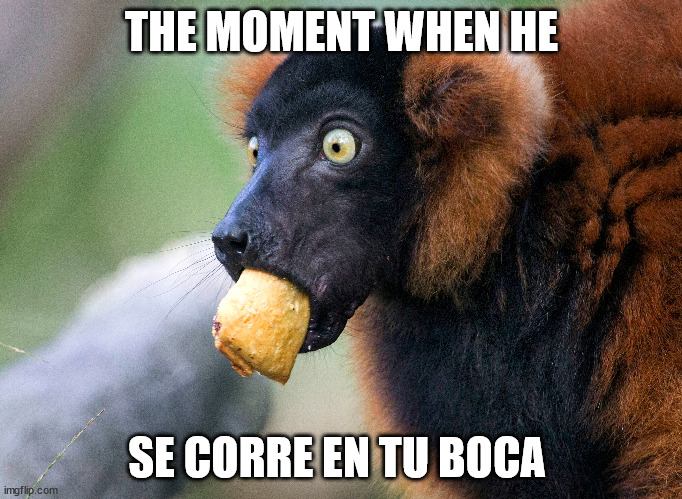 that moment | THE MOMENT WHEN HE; SE CORRE EN TU BOCA | image tagged in the moment you realize,funny,memes,random | made w/ Imgflip meme maker