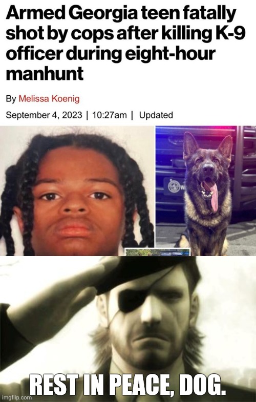 The dog was just 2 years old. | REST IN PEACE, DOG. | image tagged in big boss salute | made w/ Imgflip meme maker