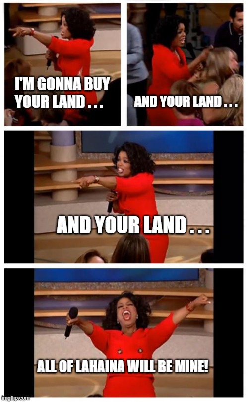 Oprah The Crook | AND YOUR LAND . . . I'M GONNA BUY YOUR LAND . . . AND YOUR LAND . . . ALL OF LAHAINA WILL BE MINE! | image tagged in oprah | made w/ Imgflip meme maker