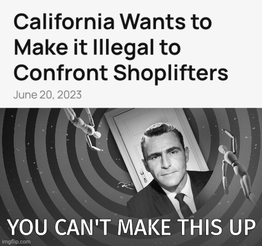 Under a new Bill in California you can now be fined 18k for stopping a shoplifter | YOU CAN'T MAKE THIS UP | image tagged in twilight zone | made w/ Imgflip meme maker