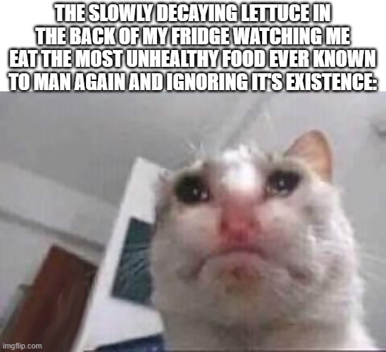 Im sorry but i cant resist... -_- | THE SLOWLY DECAYING LETTUCE IN THE BACK OF MY FRIDGE WATCHING ME EAT THE MOST UNHEALTHY FOOD EVER KNOWN TO MAN AGAIN AND IGNORING IT'S EXISTENCE: | image tagged in sad cat - gato triste,food,fridge,funny,memes,dank memes | made w/ Imgflip meme maker
