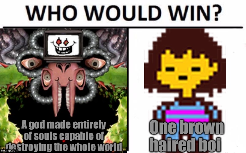 Who Would Win? | A god made entirely of souls capable of destroying the whole world; One brown haired boi | image tagged in memes,who would win | made w/ Imgflip meme maker