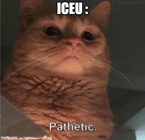 Pathetic Cat | ICEU : | image tagged in pathetic cat | made w/ Imgflip meme maker
