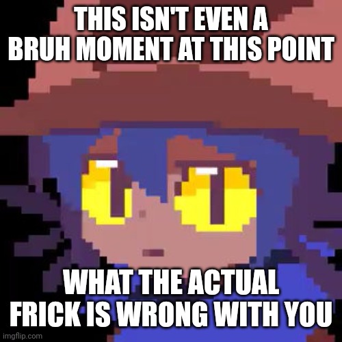 THIS ISN'T EVEN A BRUH MOMENT AT THIS POINT WHAT THE ACTUAL FRICK IS WRONG WITH YOU | image tagged in niko straight face | made w/ Imgflip meme maker