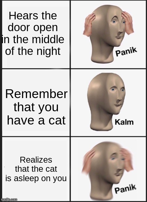 Panik Kalm Panik Meme | Hears the door open in the middle of the night; Remember that you have a cat; Realizes that the cat is asleep on you | image tagged in memes,panik kalm panik | made w/ Imgflip meme maker