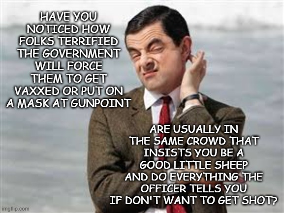 Cognitive dissonance be like... | HAVE YOU NOTICED HOW FOLKS TERRIFIED THE GOVERNMENT WILL FORCE THEM TO GET VAXXED OR PUT ON A MASK AT GUNPOINT; ARE USUALLY IN THE SAME CROWD THAT INSISTS YOU BE A GOOD LITTLE SHEEP AND DO EVERYTHING THE OFFICER TELLS YOU IF DON'T WANT TO GET SHOT? | image tagged in mr bean sarcastic,cognitive dissonance,double standard | made w/ Imgflip meme maker