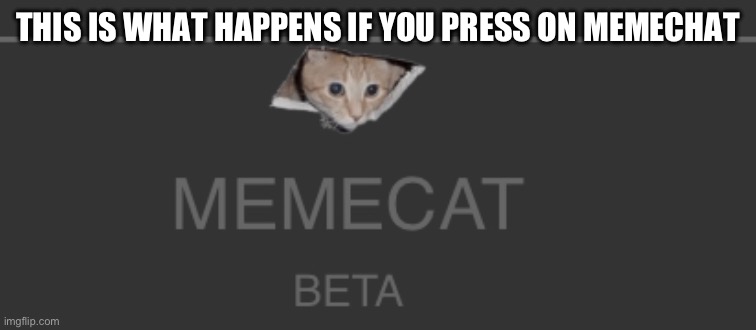 THIS IS WHAT HAPPENS IF YOU PRESS ON MEMECHAT | made w/ Imgflip meme maker
