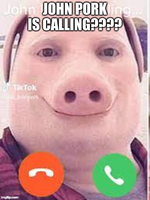 someone tell me the meaning of this? | JOHN PORK IS CALLING???? | image tagged in john pork is calling | made w/ Imgflip meme maker