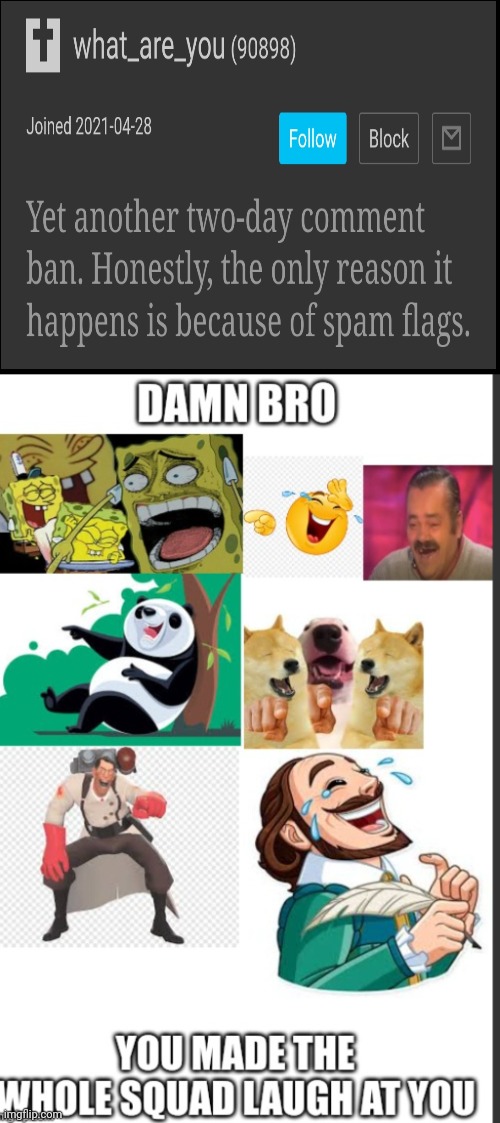 We have to keep flagging his comments | image tagged in damn bro you made the whole squad laughing | made w/ Imgflip meme maker