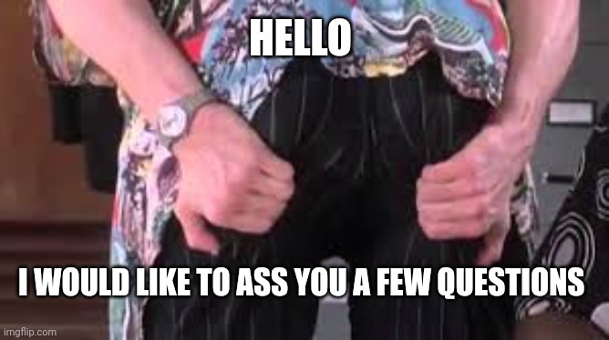 Ace ventura | HELLO; I WOULD LIKE TO ASS YOU A FEW QUESTIONS | image tagged in ace ventura butt | made w/ Imgflip meme maker