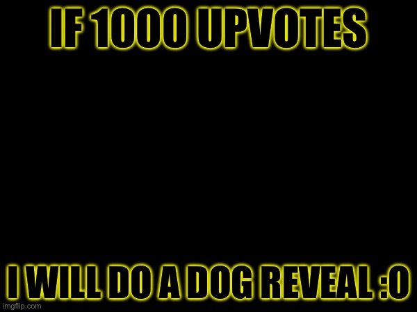 His name is lucky for starters btw | IF 1000 UPVOTES; I WILL DO A DOG REVEAL :O | image tagged in dogs | made w/ Imgflip meme maker
