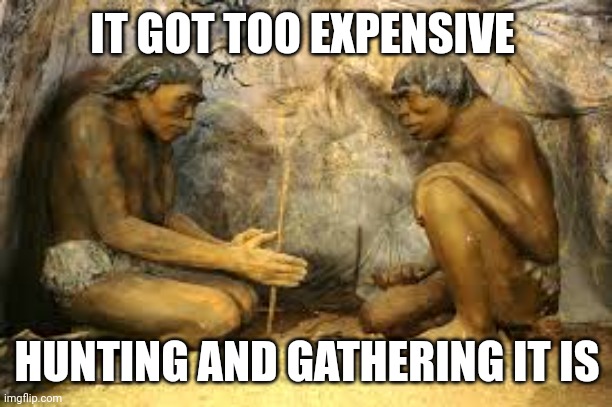 caveman fire | IT GOT TOO EXPENSIVE HUNTING AND GATHERING IT IS | image tagged in caveman fire | made w/ Imgflip meme maker