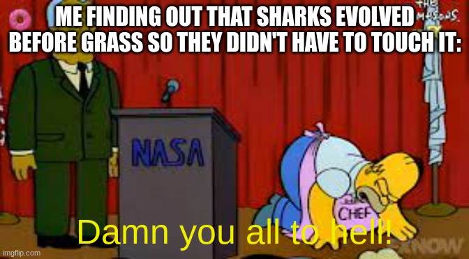 AAAAAAA | ME FINDING OUT THAT SHARKS EVOLVED BEFORE GRASS SO THEY DIDN'T HAVE TO TOUCH IT:; Damn you all to hell! | image tagged in homer damn you all to hell | made w/ Imgflip meme maker