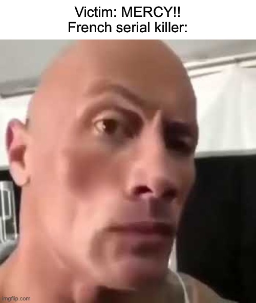 Hope that victim is mentally doing ok… | Victim: MERCY!!
French serial killer: | image tagged in funny,memes,dark | made w/ Imgflip meme maker