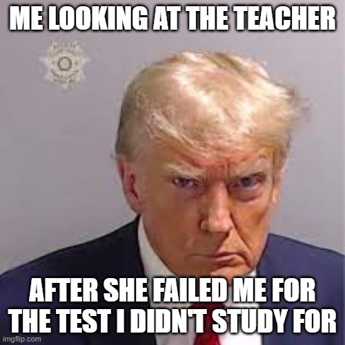It's Not My Fault | ME LOOKING AT THE TEACHER; AFTER SHE FAILED ME FOR THE TEST I DIDN'T STUDY FOR | image tagged in donald trump,angery | made w/ Imgflip meme maker