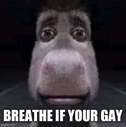 Get this to 50 upvoted and I will send a photo of my PlayStation | BREATHE IF YOUR GAY | image tagged in donkey staring | made w/ Imgflip meme maker