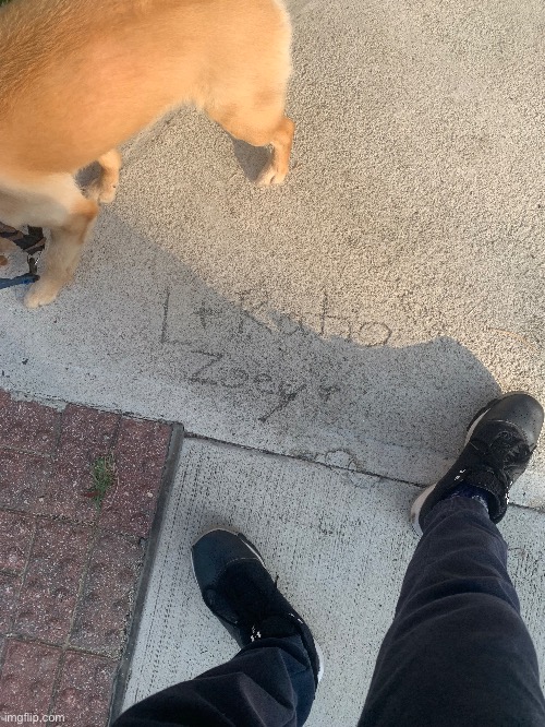 What did Zoey do to make someone write this in the side walk | made w/ Imgflip meme maker