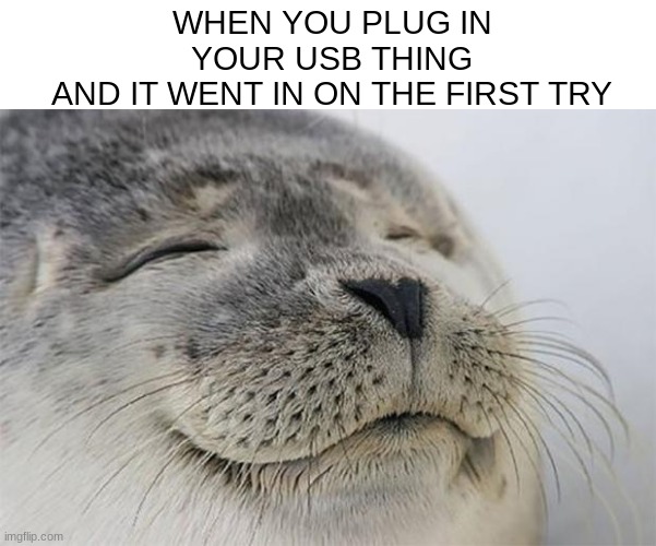 yass | WHEN YOU PLUG IN YOUR USB THING
AND IT WENT IN ON THE FIRST TRY | image tagged in memes,satisfied seal | made w/ Imgflip meme maker