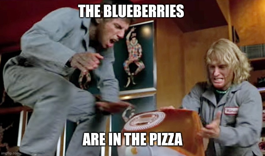 zoolander computer files | THE BLUEBERRIES; ARE IN THE PIZZA | image tagged in zoolander computer files | made w/ Imgflip meme maker