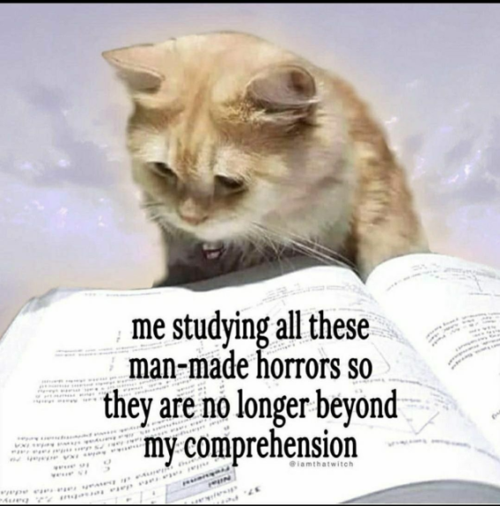 High Quality me studying all these man made horrors Blank Meme Template