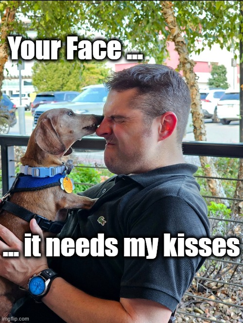 Your Face Needs My Kissess | Your Face ... ... it needs my kisses | made w/ Imgflip meme maker