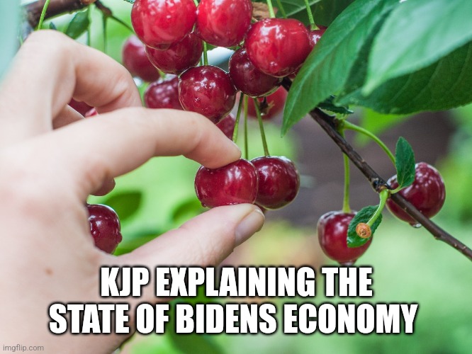 KJP EXPLAINING THE STATE OF BIDENS ECONOMY | image tagged in funny memes | made w/ Imgflip meme maker