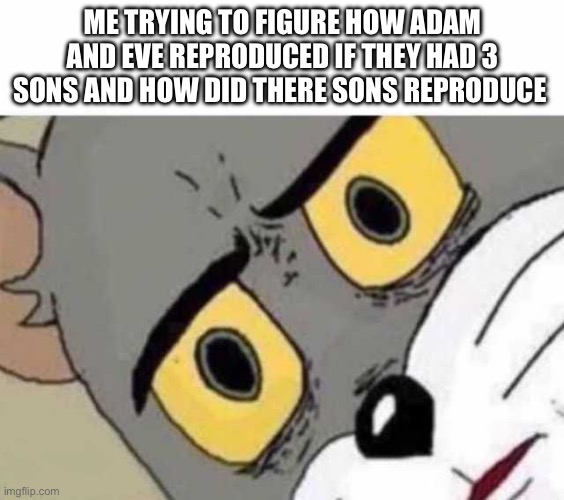 Just wondering also i meant to put figure out | ME TRYING TO FIGURE HOW ADAM AND EVE REPRODUCED IF THEY HAD 3 SONS AND HOW DID THERE SONS REPRODUCE | image tagged in tom cat unsettled close up | made w/ Imgflip meme maker