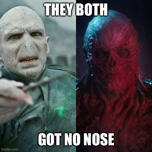Lord Voldemort and Vecna | THEY BOTH; GOT NO NOSE | image tagged in lord voldemort,stranger things,vecna | made w/ Imgflip meme maker