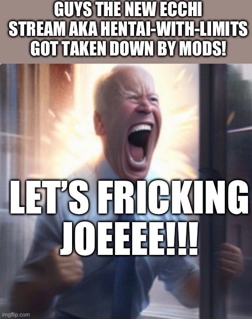 Biden Lets Go | GUYS THE NEW ECCHI STREAM AKA HENTAI-WITH-LIMITS GOT TAKEN DOWN BY MODS! LET’S FRICKING JOEEEE!!! | image tagged in biden lets go | made w/ Imgflip meme maker