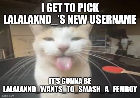 Cat | I GET TO PICK LALALAXND_’S NEW USERNAME; IT’S GONNA BE LALALAXND_WANTS_TO_SMASH_A_FEMBOY | image tagged in cat | made w/ Imgflip meme maker