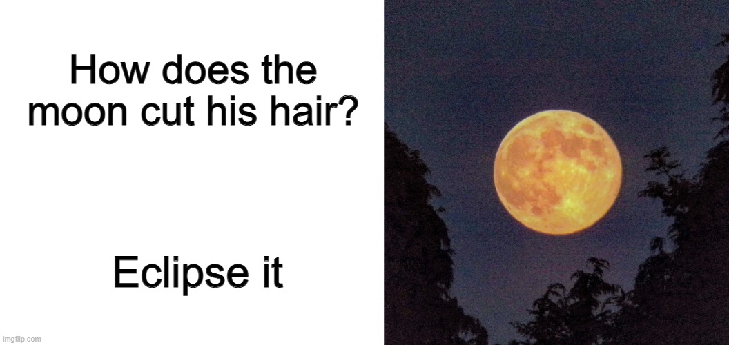 ... | How does the moon cut his hair? Eclipse it | image tagged in blank white template | made w/ Imgflip meme maker