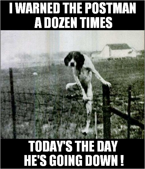 Please Don't Stop Mr Postman | I WARNED THE POSTMAN
 A DOZEN TIMES; TODAY'S THE DAY
 HE'S GOING DOWN ! | image tagged in dogs,pointer,postman,warned | made w/ Imgflip meme maker