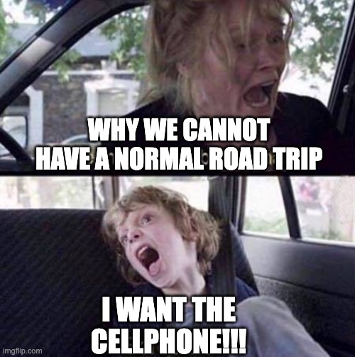 Why Can't You Just Be Normal | WHY WE CANNOT HAVE A NORMAL ROAD TRIP; I WANT THE CELLPHONE!!! | image tagged in why can't you just be normal,funny,fun,funny memes | made w/ Imgflip meme maker