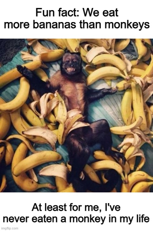 I love this dad joke :') | Fun fact: We eat more bananas than monkeys; At least for me, I've never eaten a monkey in my life | image tagged in monkey bananas | made w/ Imgflip meme maker